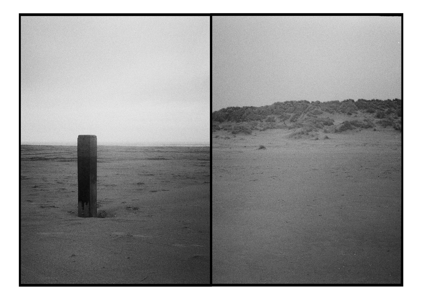 Diptychs