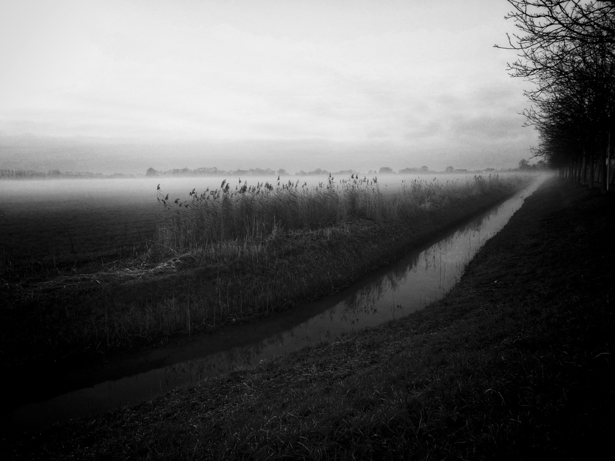 Misty Tranquility