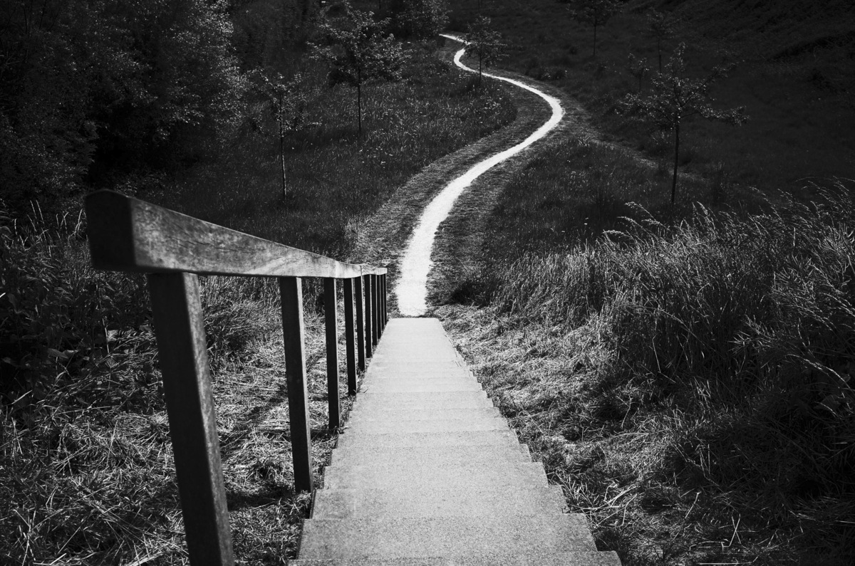 Winding Path